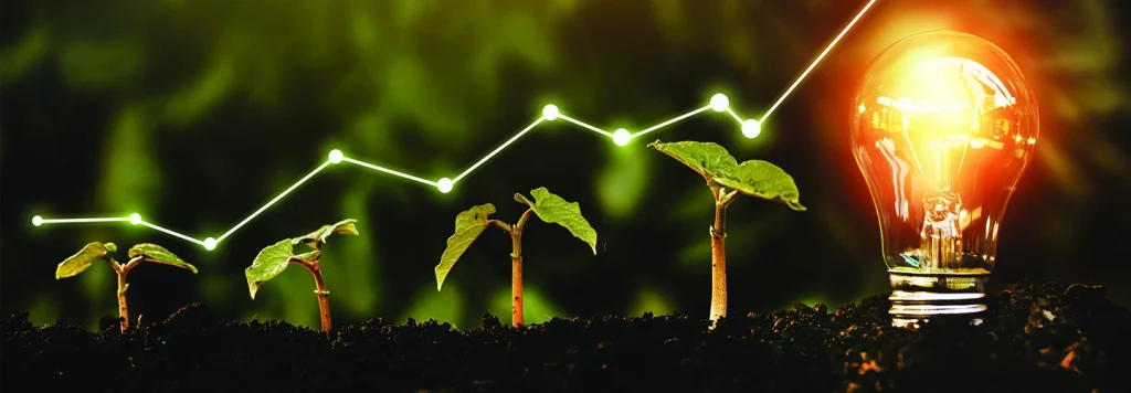 Manage growth in startups