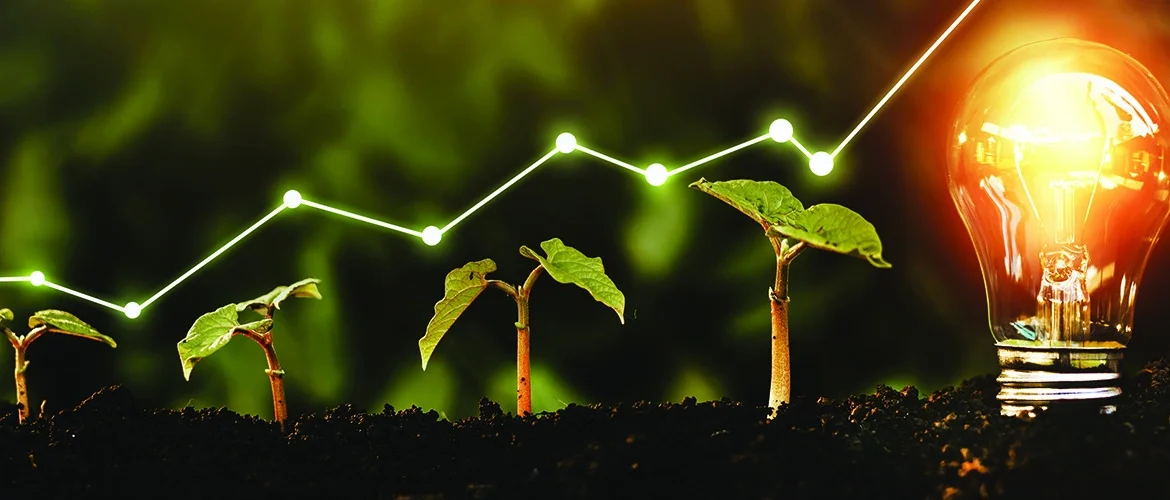 Manage growth in startups